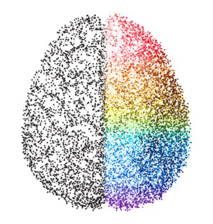Why It's Important To Embrace Neurodiversity In The Workplace (And How To Do It Effectively)